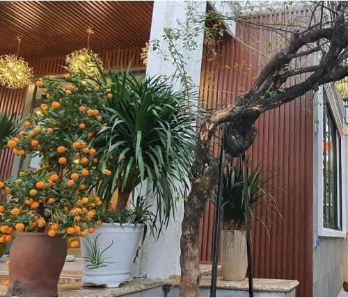Tấm ốp tường nhôm E-Shaped